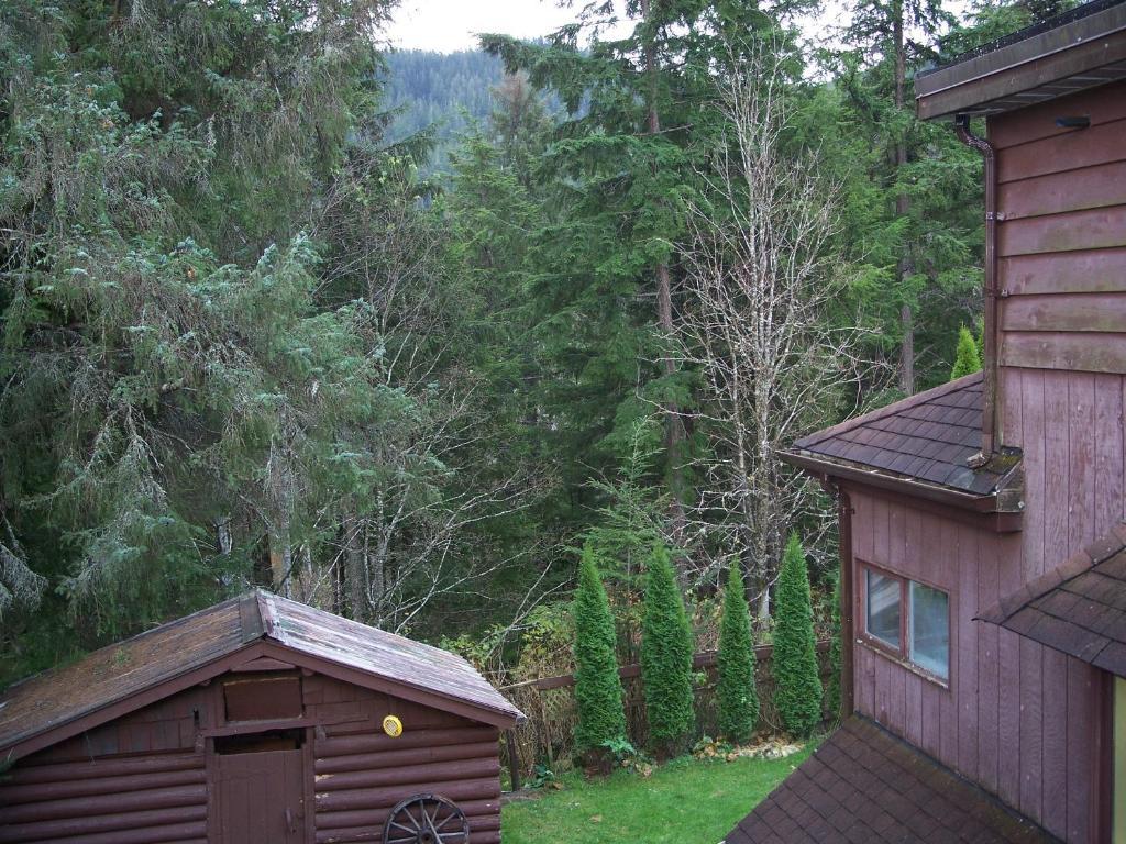 برينس روبيرت Tall Trees Bed & Breakfast الغرفة الصورة