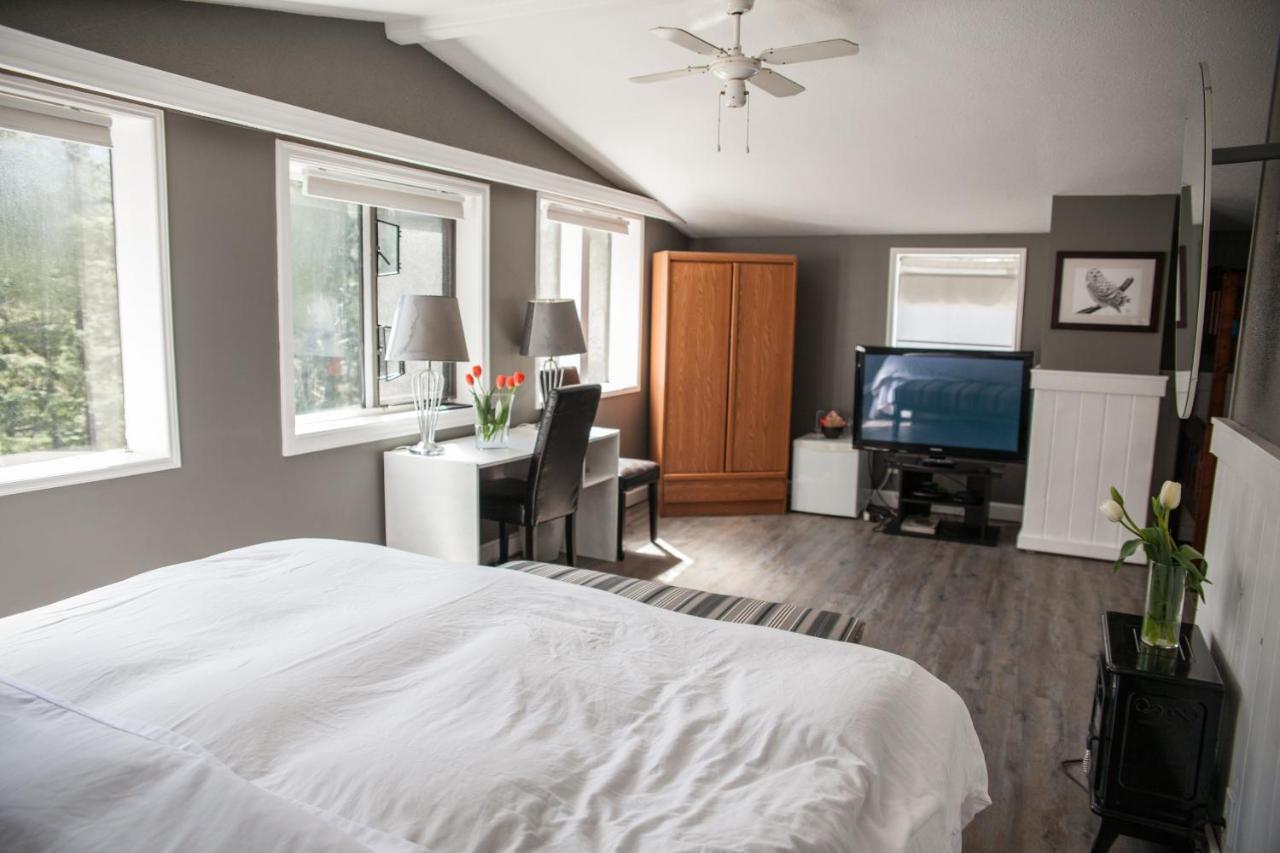 برينس روبيرت Tall Trees Bed & Breakfast المظهر الخارجي الصورة