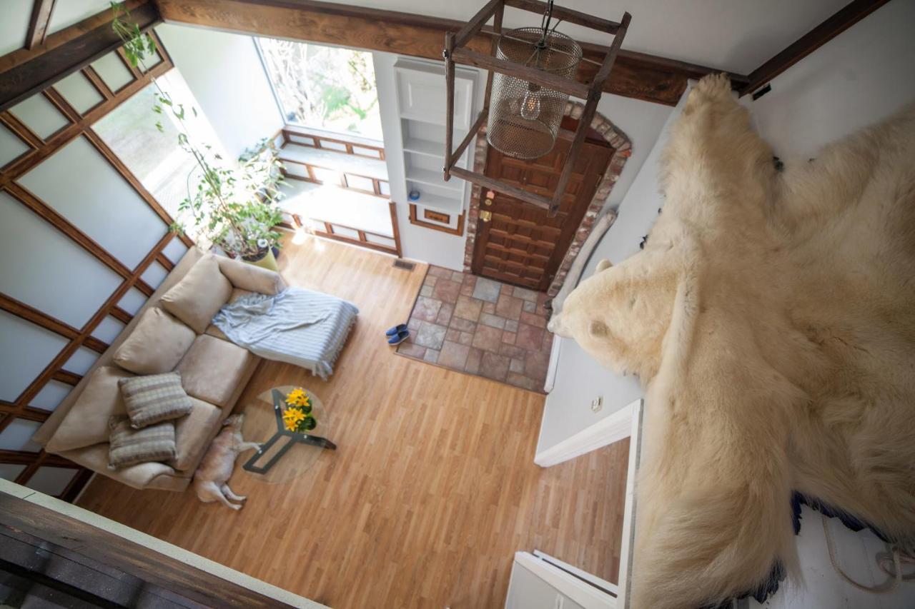 برينس روبيرت Tall Trees Bed & Breakfast المظهر الخارجي الصورة